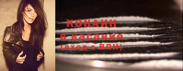 стаф Аркадак