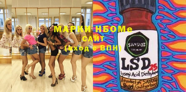 стаф Аркадак