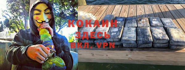прущая мука Арсеньев