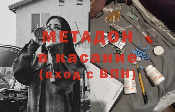 стаф Аркадак