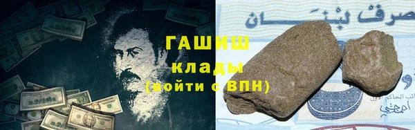стаф Аркадак