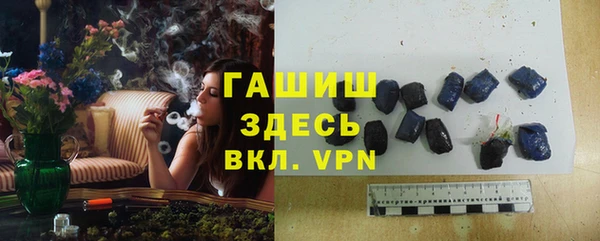 стаф Аркадак