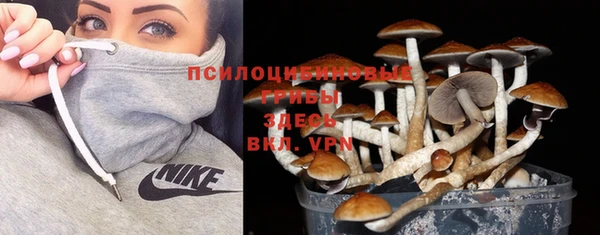 прущая мука Арсеньев