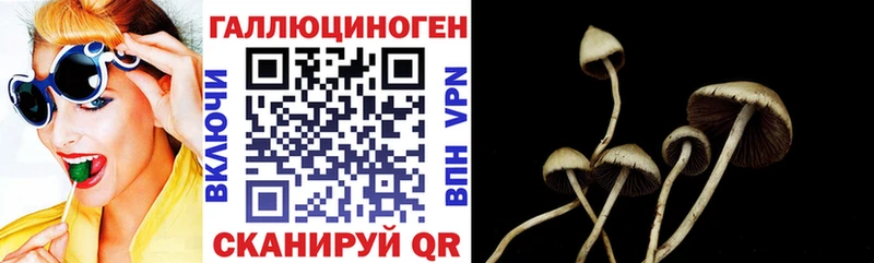 Галлюциногенные грибы GOLDEN TEACHER  сколько стоит  сайты даркнета телеграм  Горячеводский 